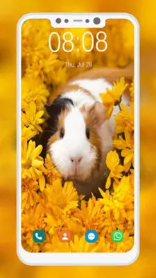 Cute Hamster Wallpapers android App screenshot 2