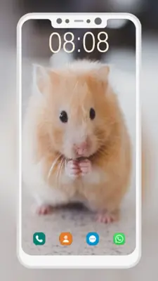 Cute Hamster Wallpapers android App screenshot 3