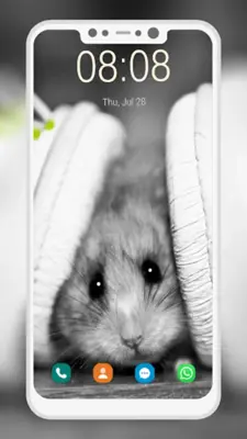 Cute Hamster Wallpapers android App screenshot 4