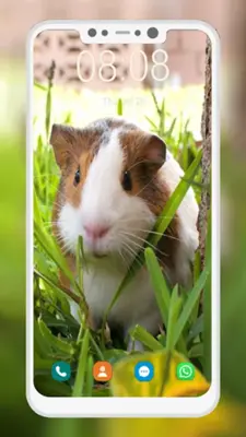 Cute Hamster Wallpapers android App screenshot 5