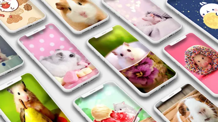 Cute Hamster Wallpapers android App screenshot 6